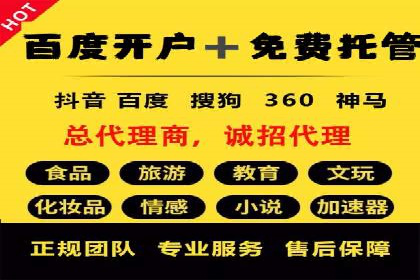 百度广告竞价之成功案例：某行业领军企业的崛起之路